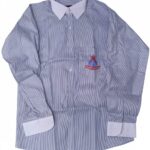 Shirt Punjab Group of Colleges